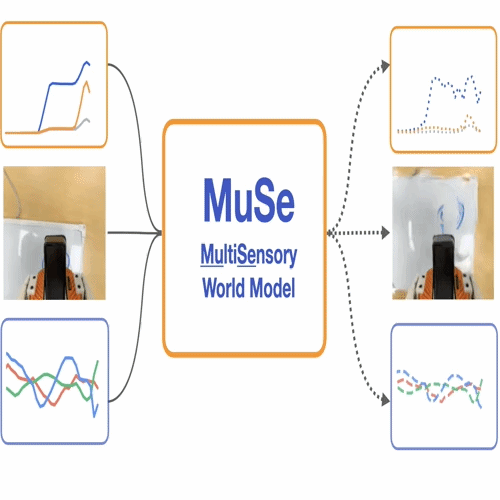 MuSe.gif