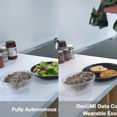 dexumi.gif
